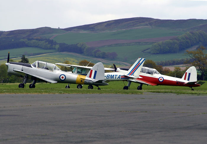 Chipmunks