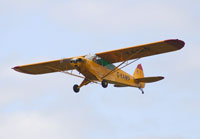 G-KAMP Cub