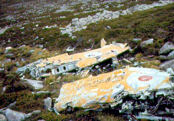 Firefly Lochnagar wing & fuselage