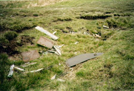 Mosquito, Shetland