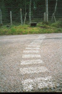 otter crossing