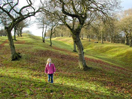 The wall and ditch at Seabegs Wood