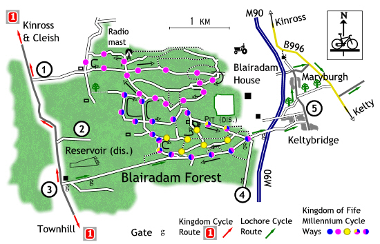 blairadam forest