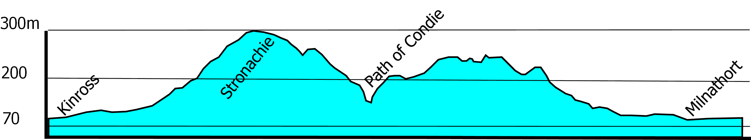 Path of conde profile