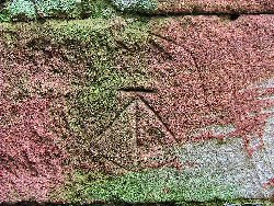 A surveyors benchmark symbol