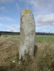 The Collessie standing stone