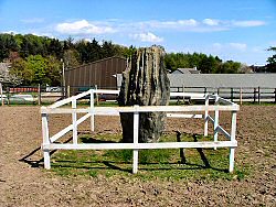 Standing stone