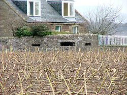 Hidden pillbox