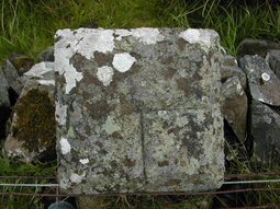 The Auchtermuchty Common boundary stone - top