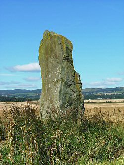 The western stone
