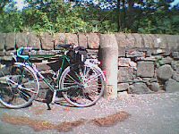 The old mile post and surveyors mark