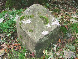 Surveyors stone