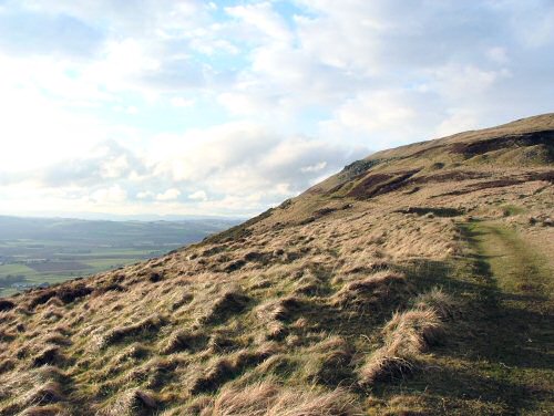 Bishop Hill